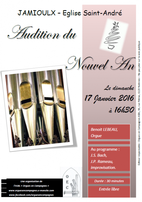 Affiche audition d orgue 17 janvier 2016 jamioulx 1